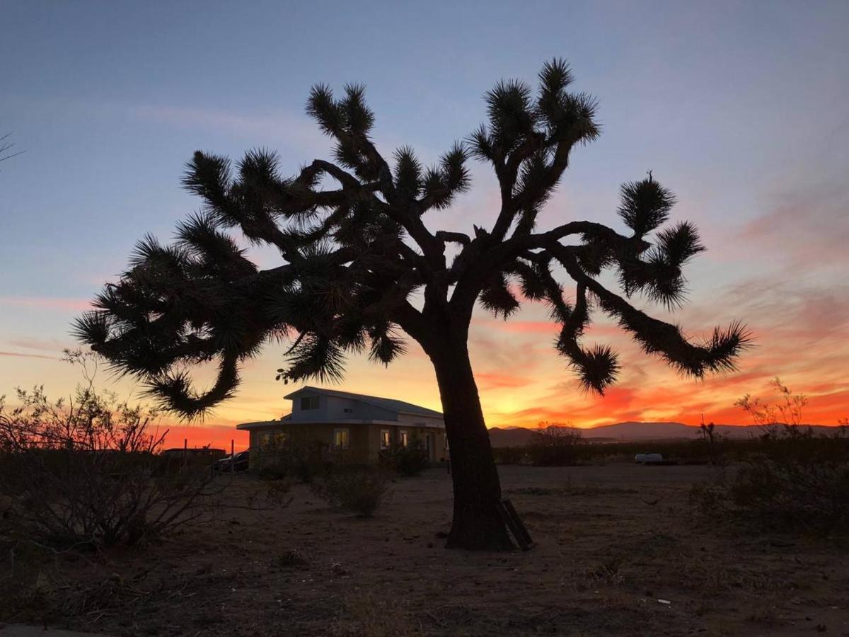 The Farmhouse Retreat: 5 Acres, Hot Tub, Sleeps 10, Ac Villa Joshua Tree Exterior photo